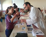 Clic per a ampliar Clic per a ampliar